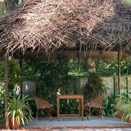 Tattwamasi Ayuryoga With Breakfast And Yoga Varkala Exterior foto